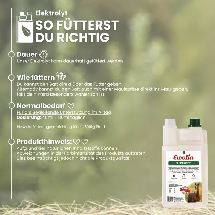 Ergänzungsfuttermittel Elektrolyt – flüssig, 1 l