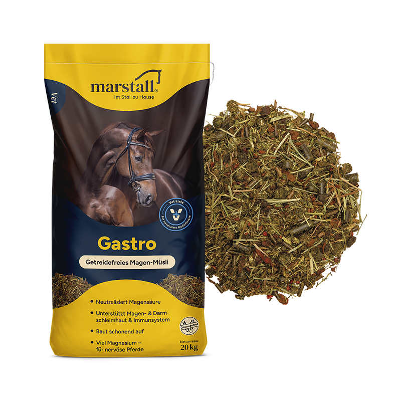 Müsli Gastro – getreidefrei, 20 kg