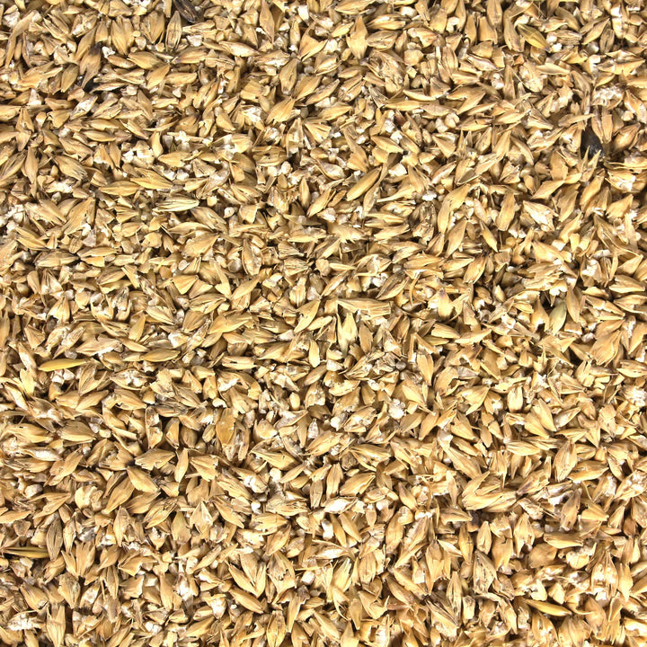 Einzelfutter Gerste – gewalzt, 25 kg