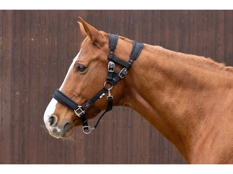 NeXaver® Halfter Nylon Fleece - IQ Horse