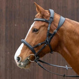 Leder Trensenzaum mit englischem Reithalfter - IQ Horse