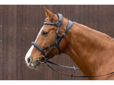 Leder Trensenzaum mit englischem Reithalfter - IQ Horse