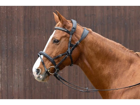 Leder Trensenzaum Kombiniert - IQ Horse