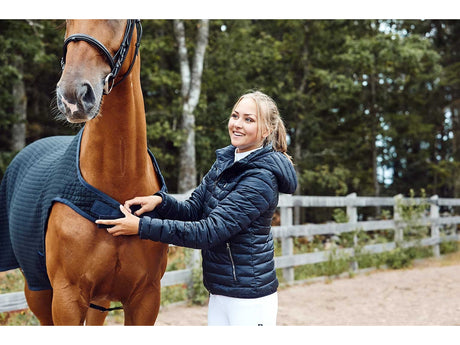 Kingsland Classic wattierte Damenjacke/ Reitjacke, navy - IQ Horse