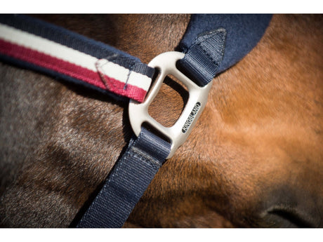 Kingsland Klassisches Halfter mit Fleece navy - IQ Horse