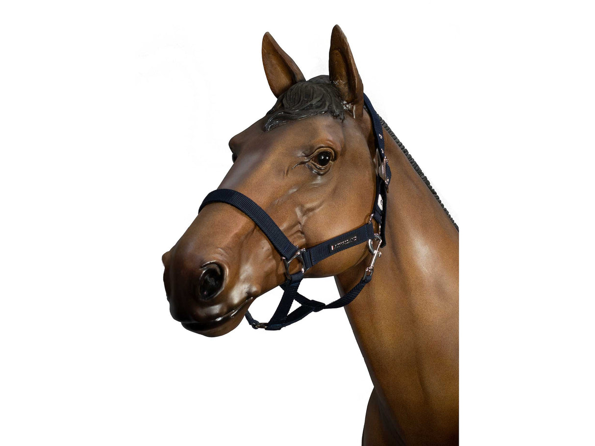 Kingsland Top Notch Nylon Halfter - IQ Horse