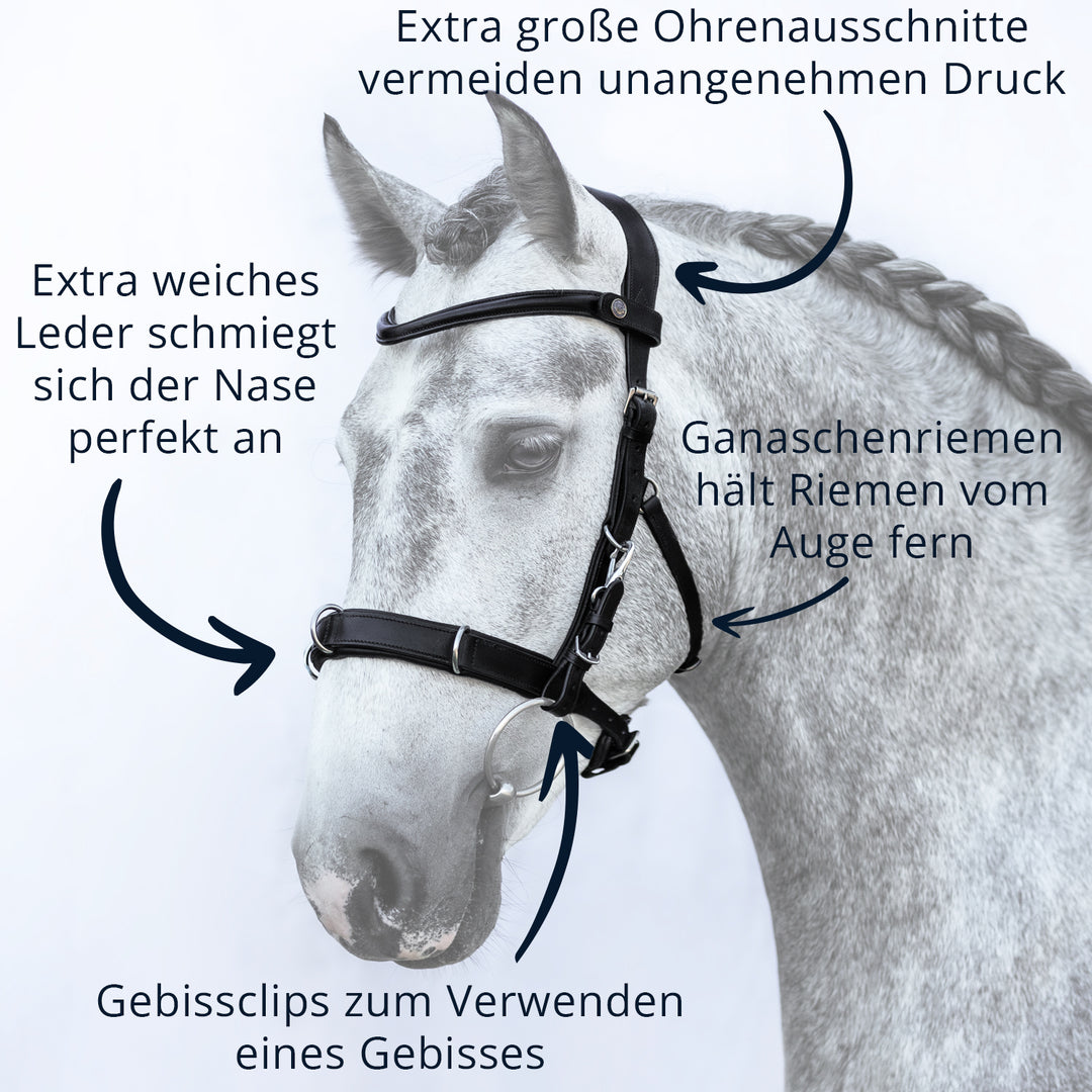 Kappzaum Union
