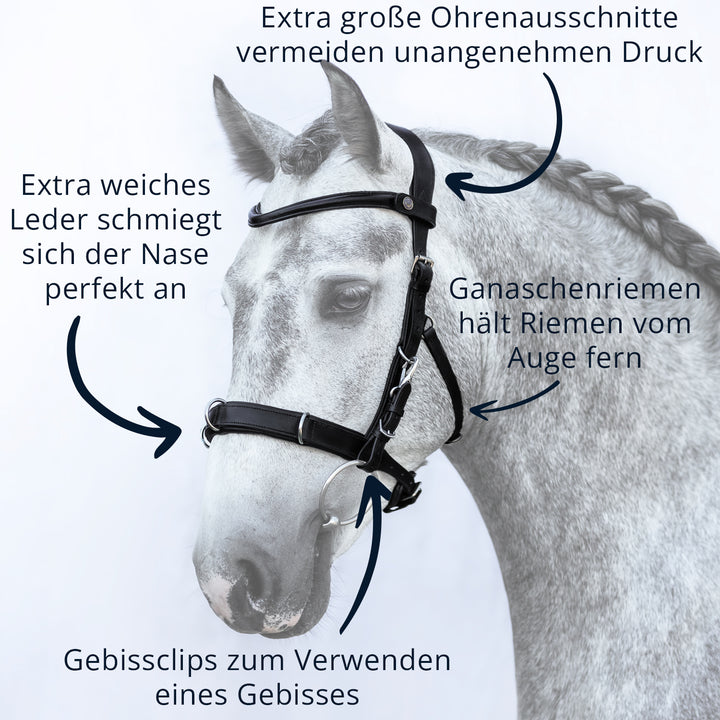 Kappzaum Union
