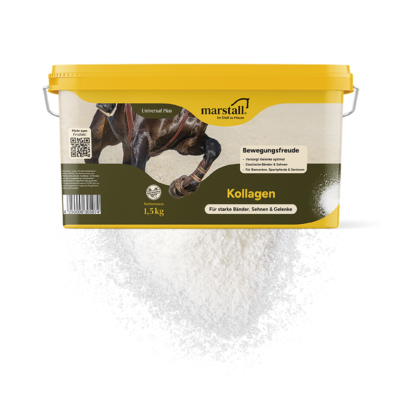 Ergänzungsfutter Kollagen – Pulver, 1,5 kg