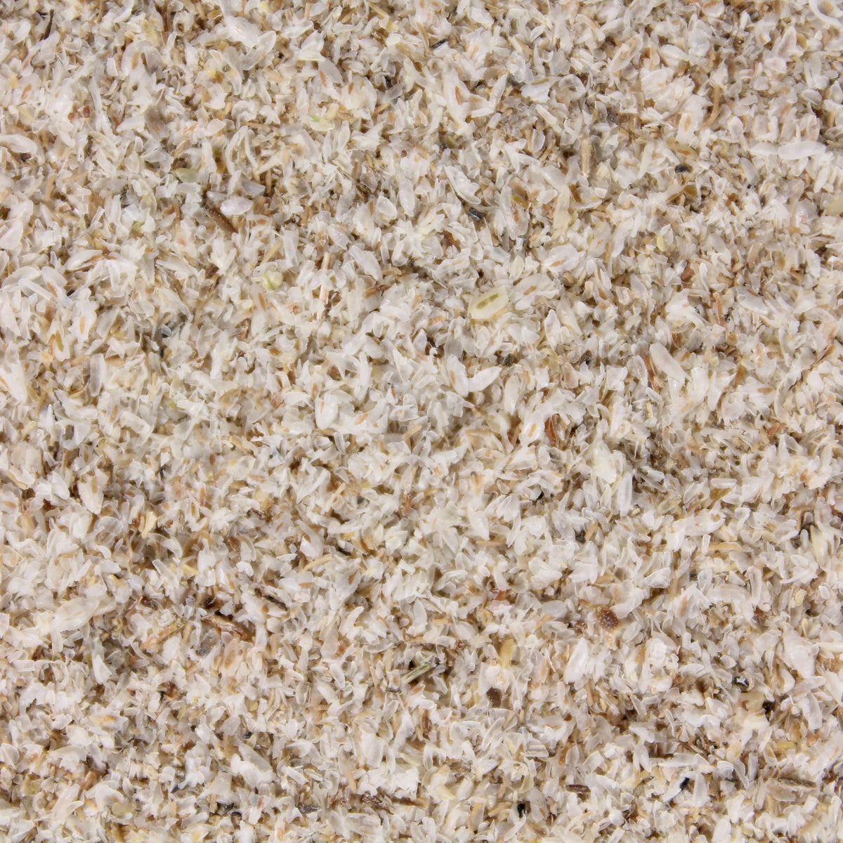 Flohsamenschalen – indisch, 1 kg