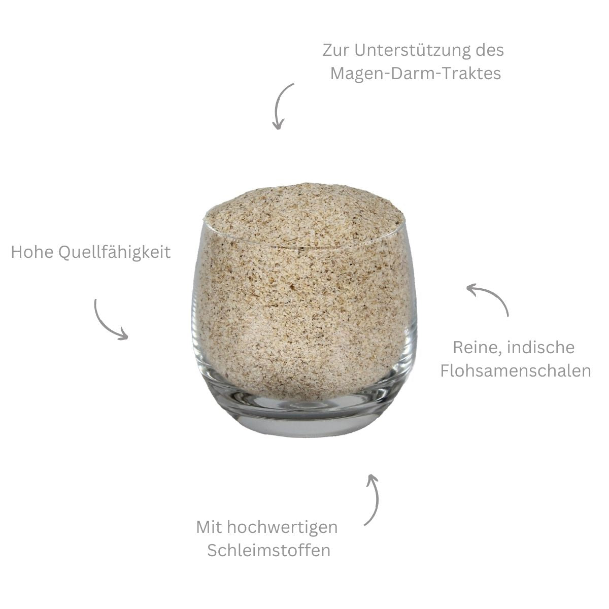Flohsamenschalen – indisch, 1 kg