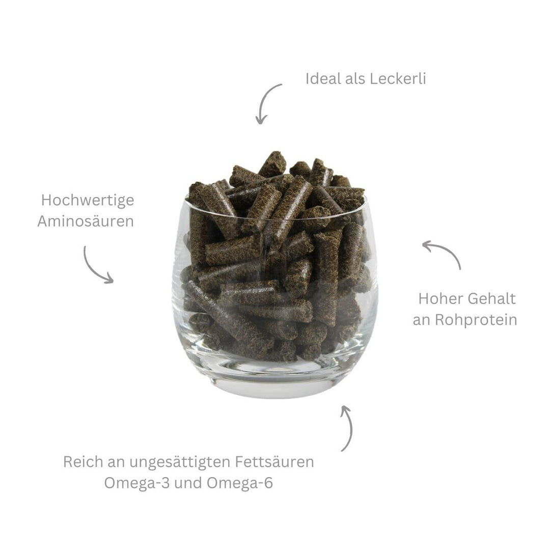 Ergänzungsfutter Hanf Pellet – getreidefrei