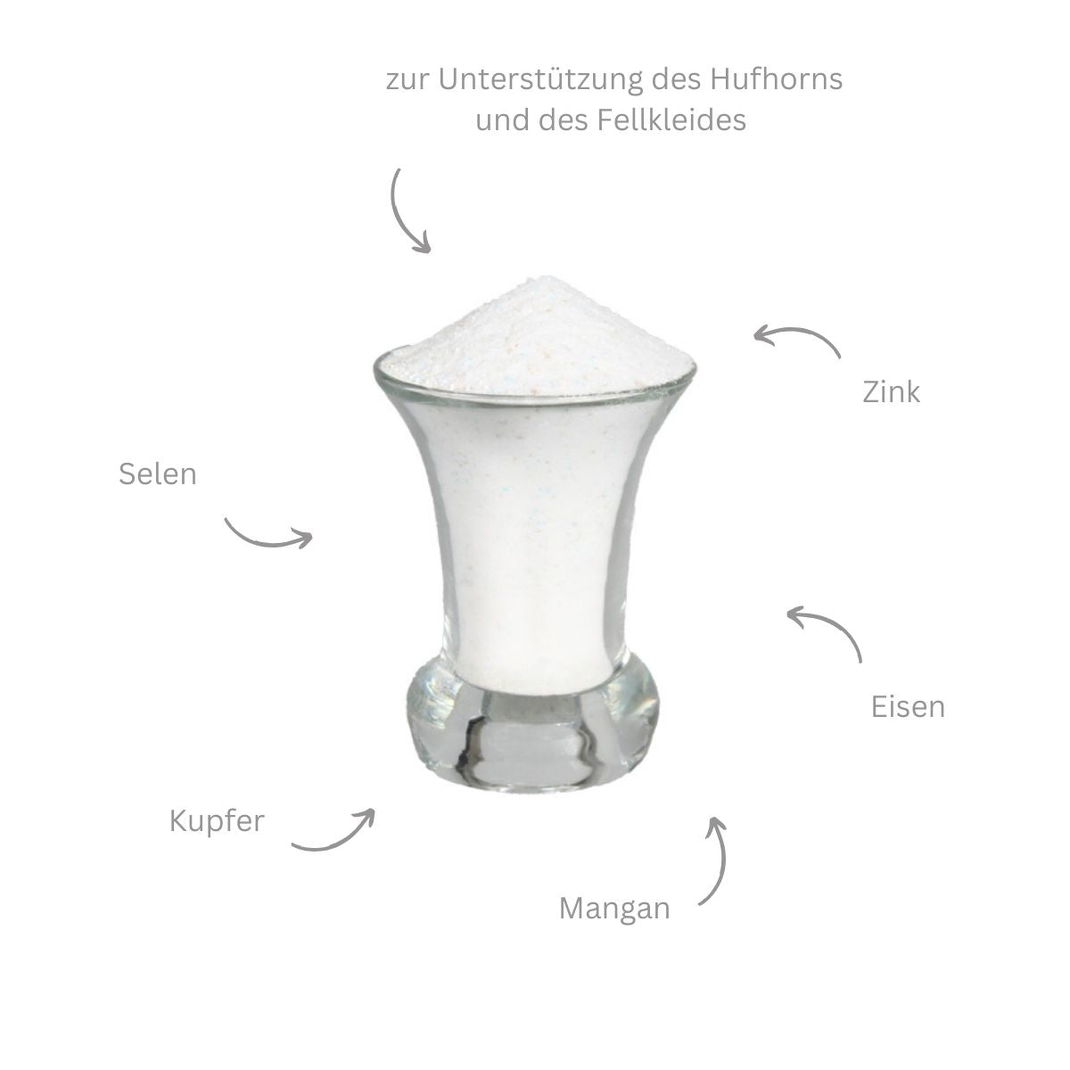 Ergänzungsfutter Haut und Huf Support