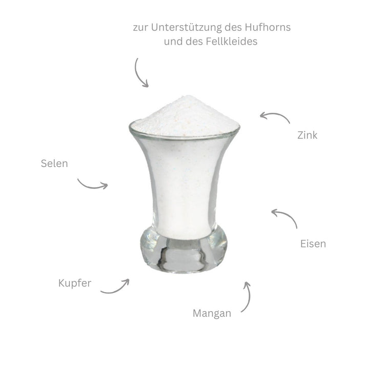 Ergänzungsfutter Haut und Huf Support