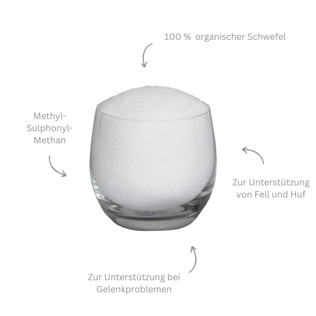 Schwefelquelle MSM – Methylsulfonylmethan