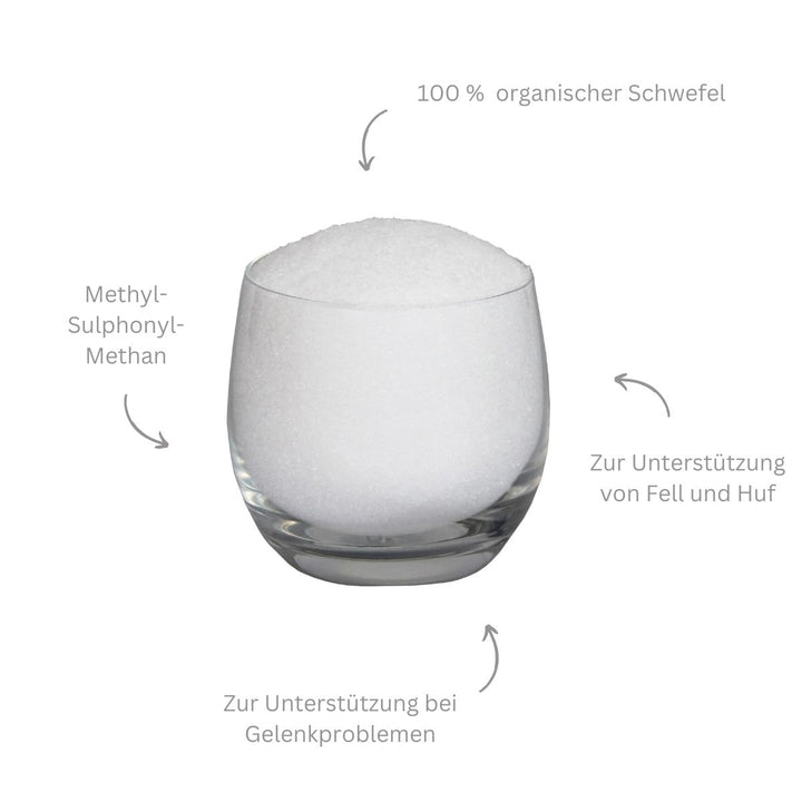 Schwefelquelle MSM – Methylsulfonylmethan