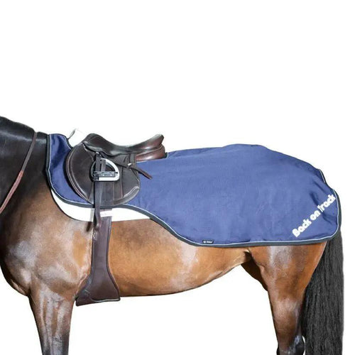Ausreit - /Nierendeck Sammy - IQ Horse