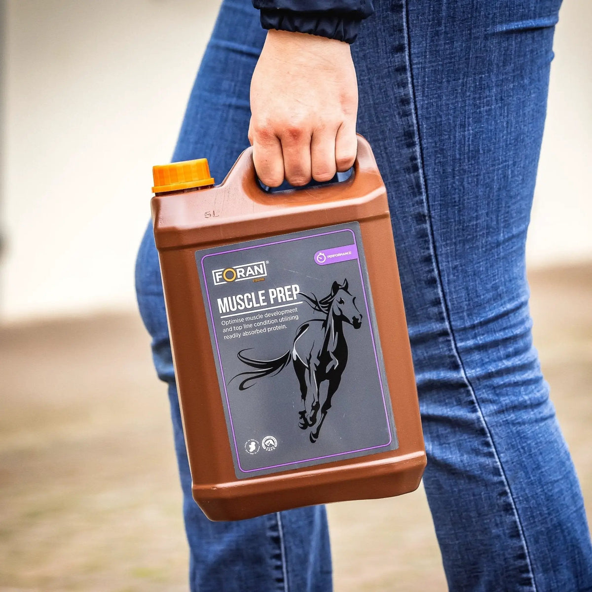 Pferd mit FORAN Equine Ergänzungsfutter