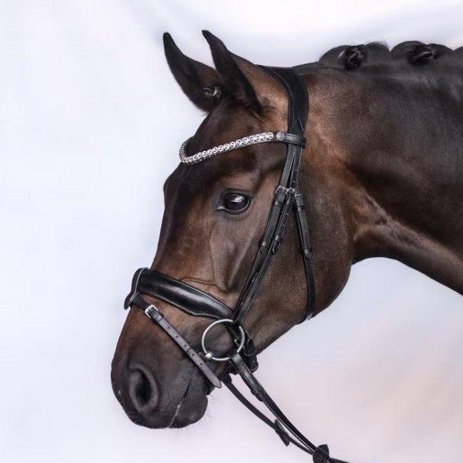 Trense CHARM, schwedisch - IQ Horse