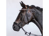 Bridlery anatomische Trense Excellence, hannoversch - IQ Horse