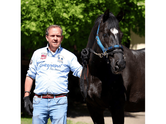 Stübben LK Controller ohne Halfter - IQ Horse