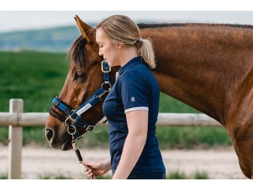 Stübben LK Controller ohne Halfter - IQ Horse