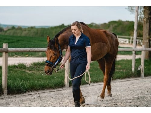 Stübben LK Controller ohne Halfter - IQ Horse