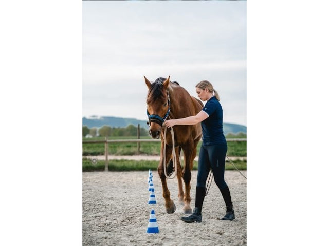 Stübben LK Controller ohne Halfter - IQ Horse