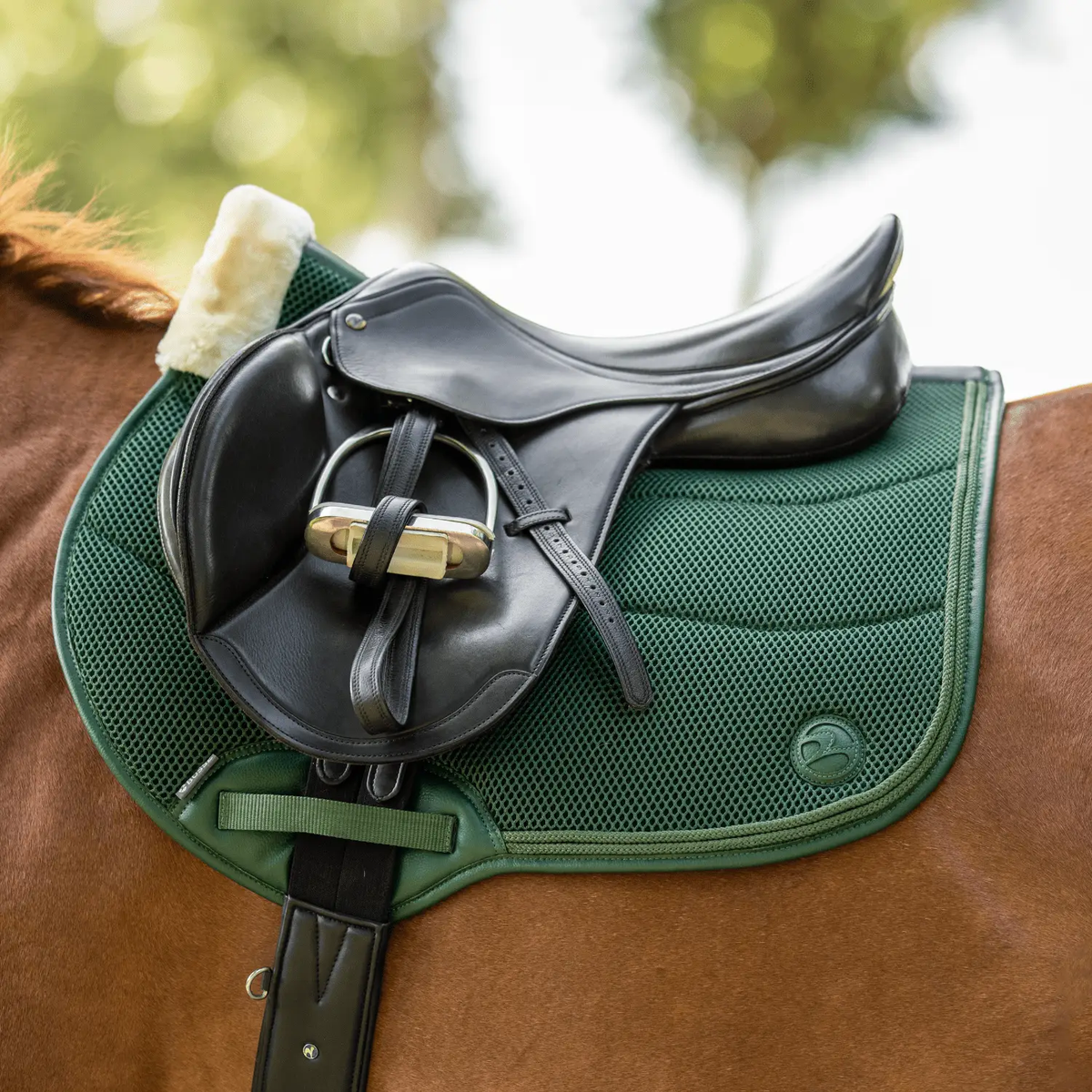 Busse Vielseitigkeitsschabracke 3D AIR EFFECT KL, emerald - IQ Horse