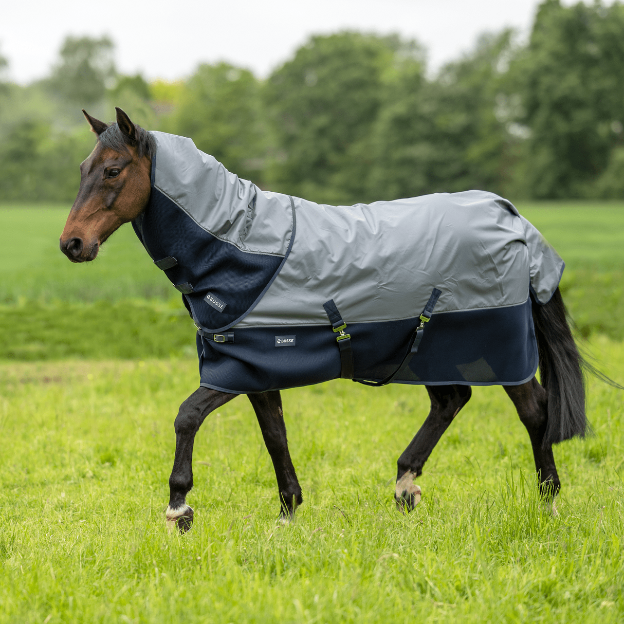 Outdoordecke 3D AIR RAIN - IQ Horse