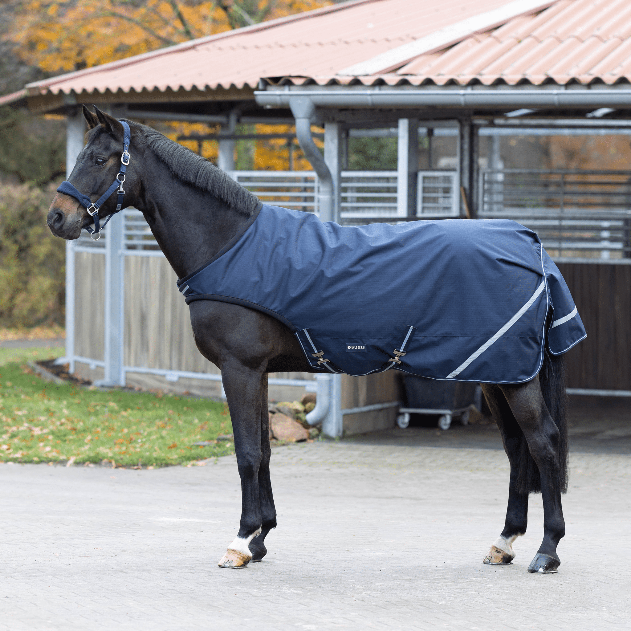 BUSSE Bewegungsdecke RAIN COMFORT 50, Navy - IQ Horse