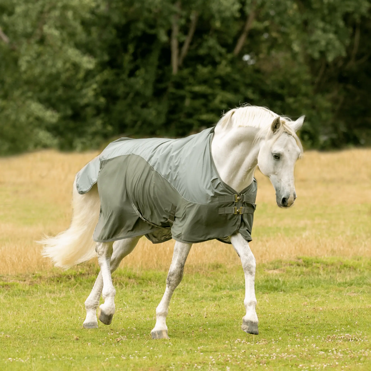 Busse Outdoordecke RAIN FLY - IQ Horse