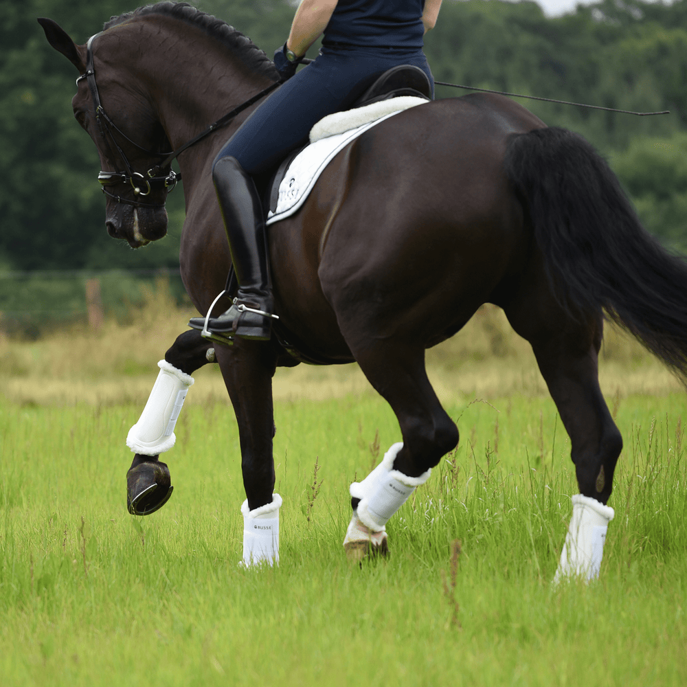 Busse Gamaschen ART - FUR - IQ Horse