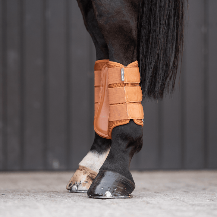 Busse Gamaschen BREEZY, cognac - IQ Horse
