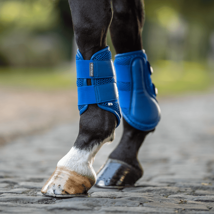 Busse Gamaschen 3D AIR EFFECT, Royal Summer - IQ Horse