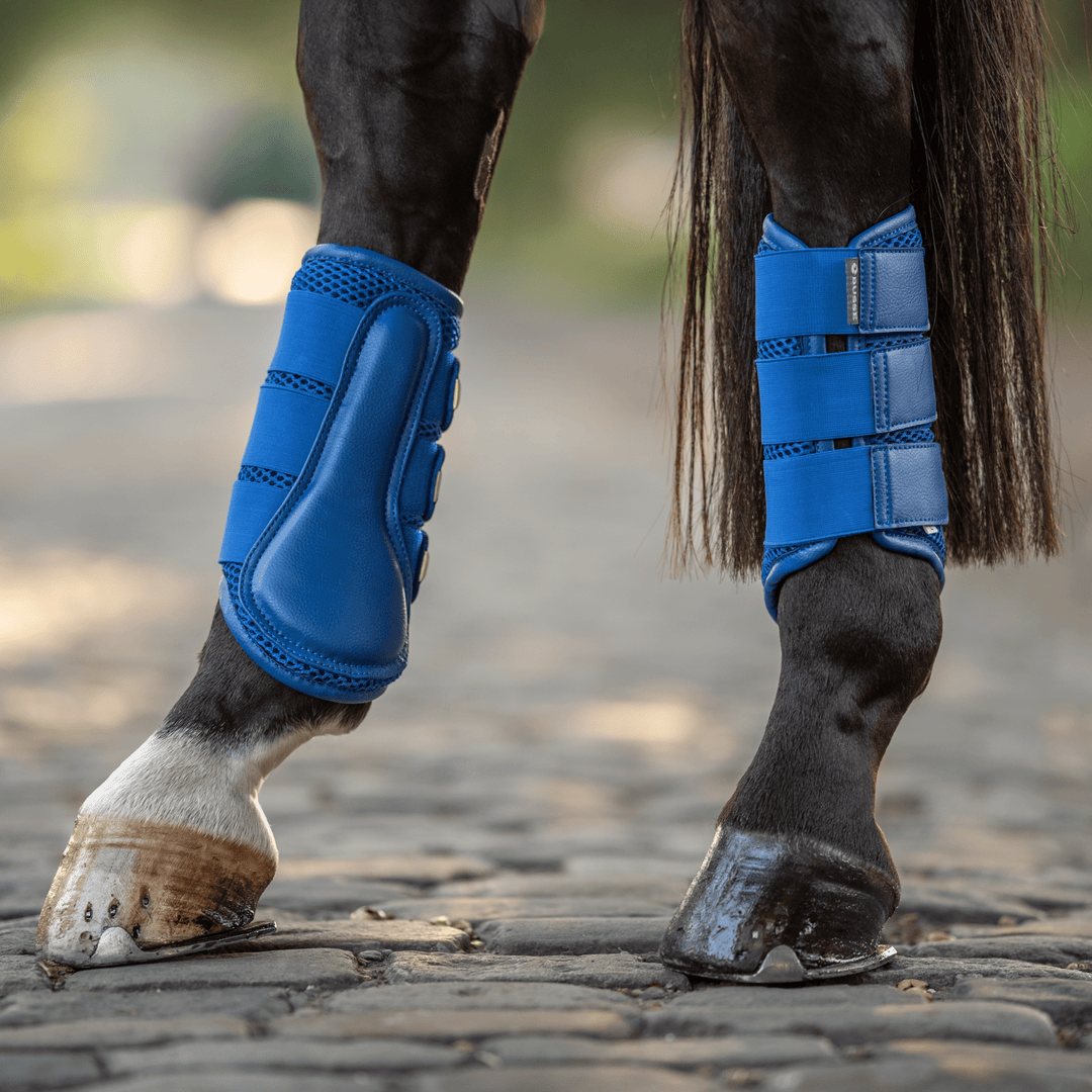 Busse Gamaschen 3D AIR EFFECT, Royal Summer - IQ Horse