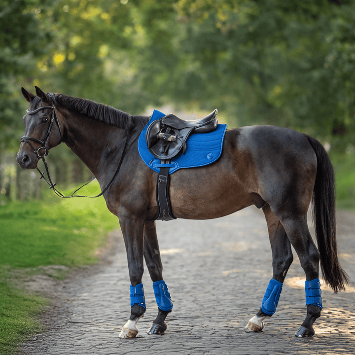 Busse Gamaschen 3D AIR EFFECT, Royal Summer - IQ Horse