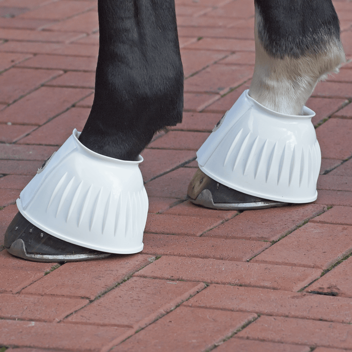 BUSSE Hufglocken STURDY, Weiß - IQ Horse