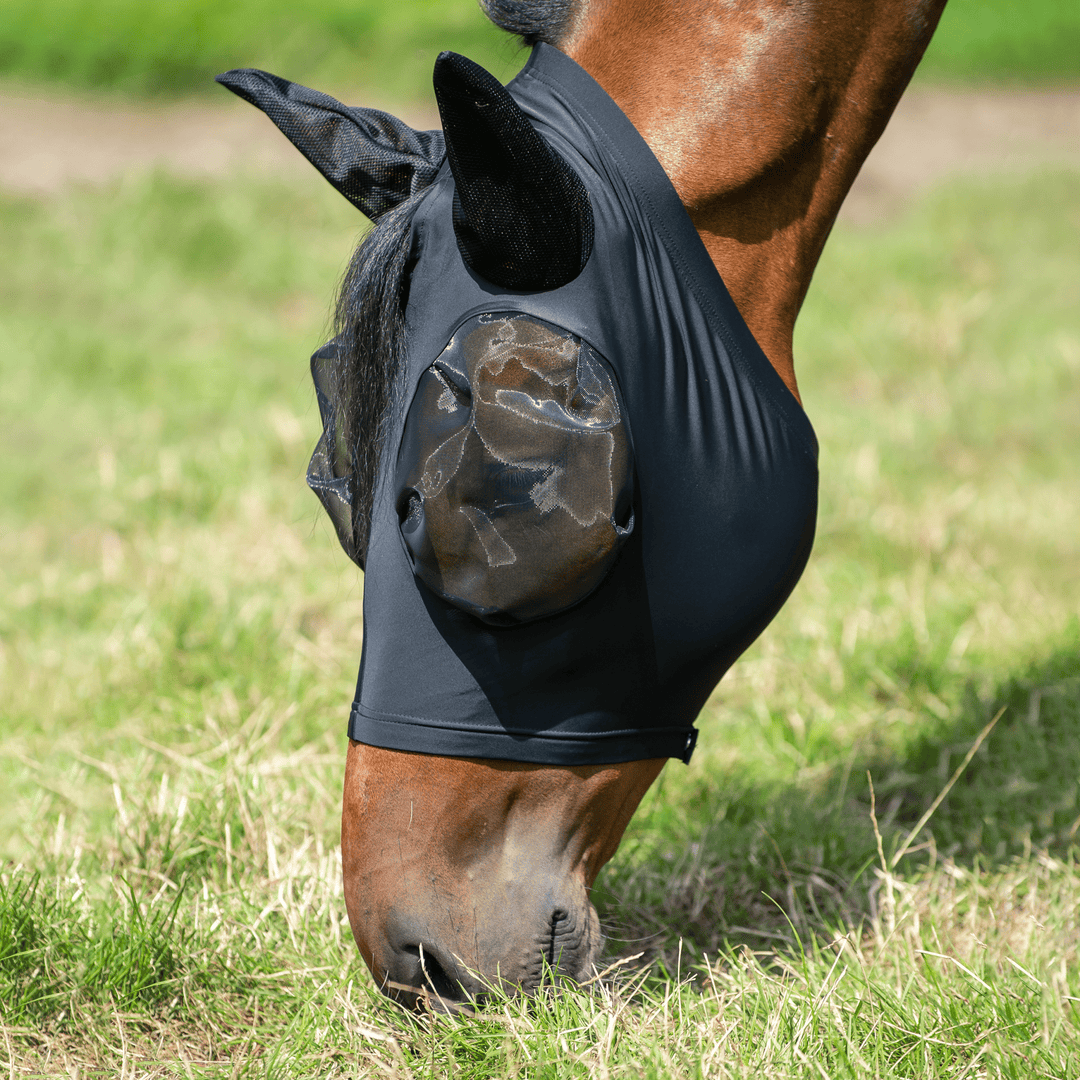 BUSSE Fliegenmaske TWIN FIT FLEXI, schwarz - IQ Horse