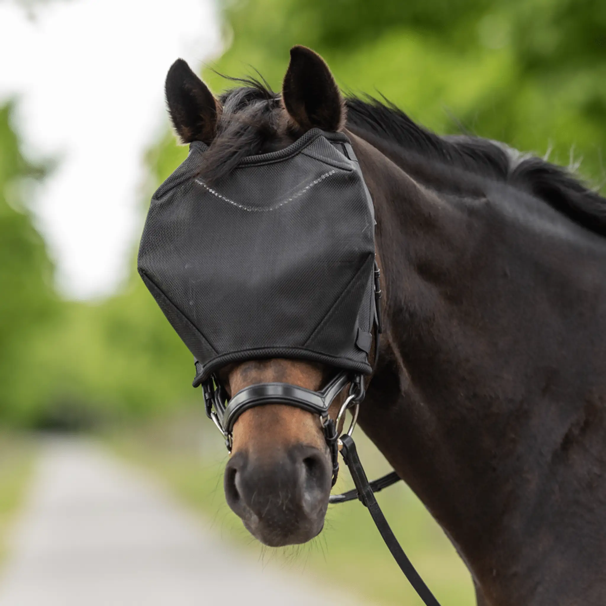 Busse Fliegenmaske RIDING, schwarz - IQ Horse