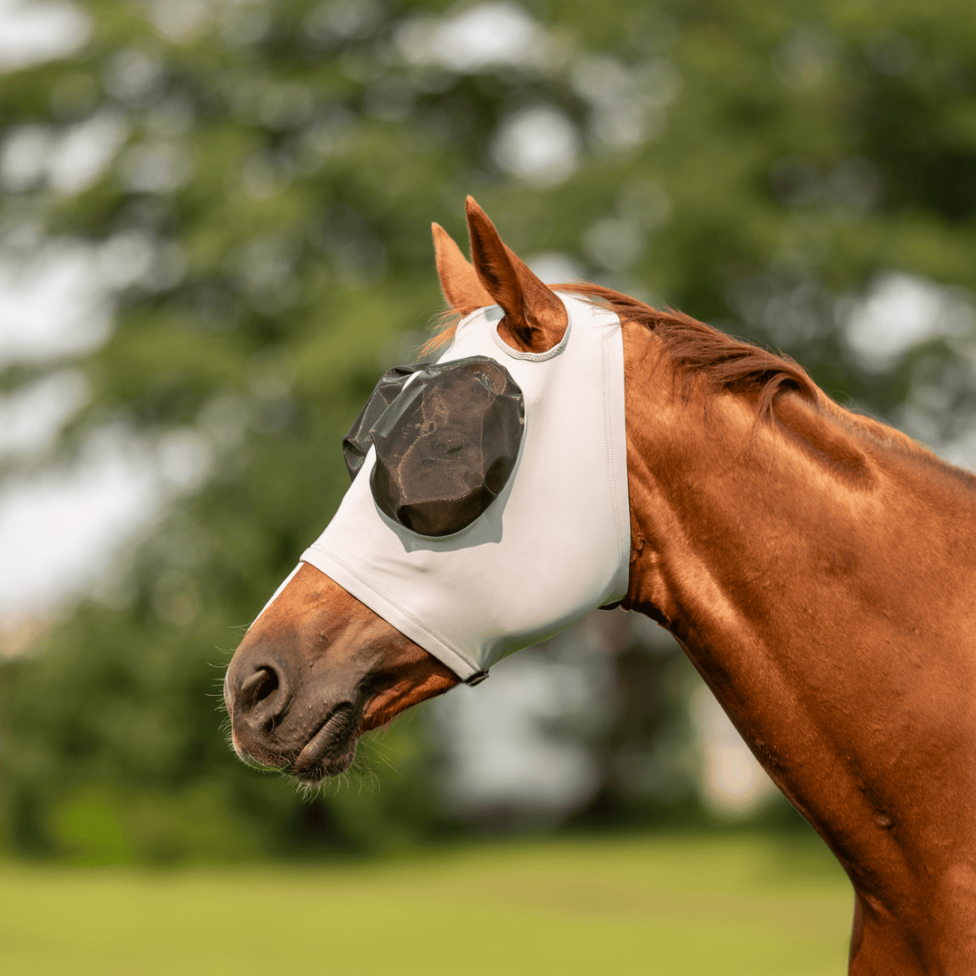 BUSSE Fliegenmaske TWIN FIT FLEXI, Grau - IQ Horse