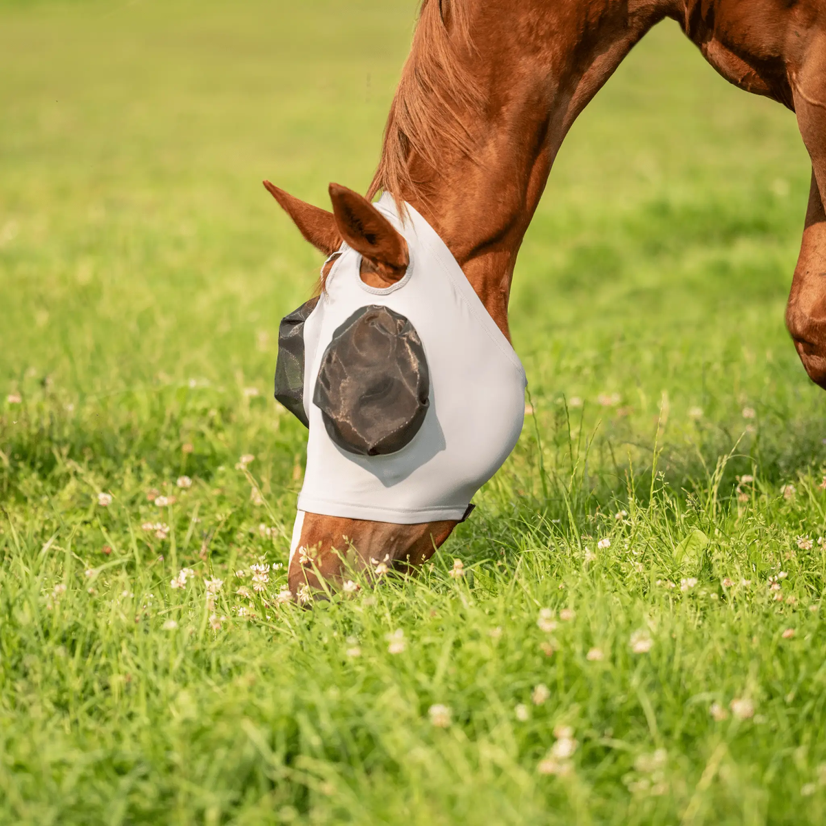 BUSSE Fliegenmaske TWIN FIT FLEXI, grau - IQ Horse