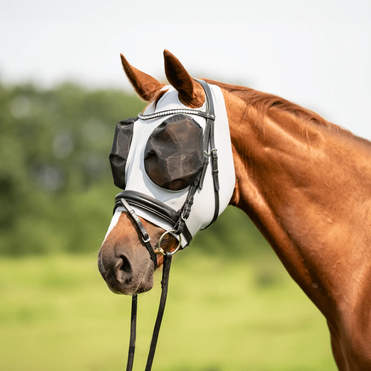 BUSSE Fliegenmaske TWIN FIT FLEXI, grau - IQ Horse