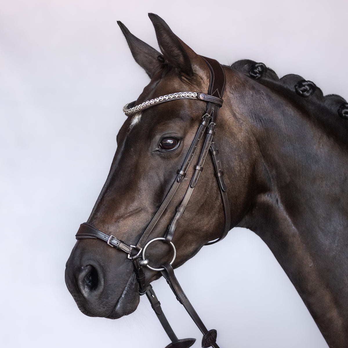 Hannoversche Trense Balance – gepolstert