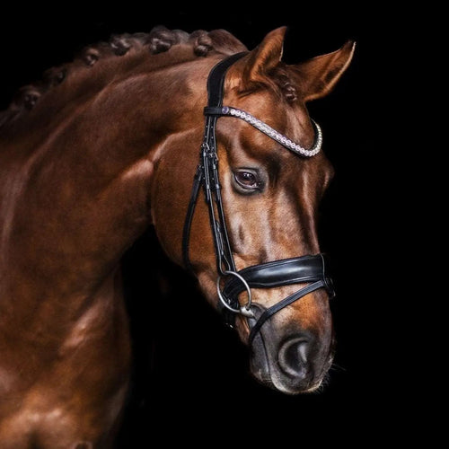 Trense CHARM, schwedisch - IQ Horse