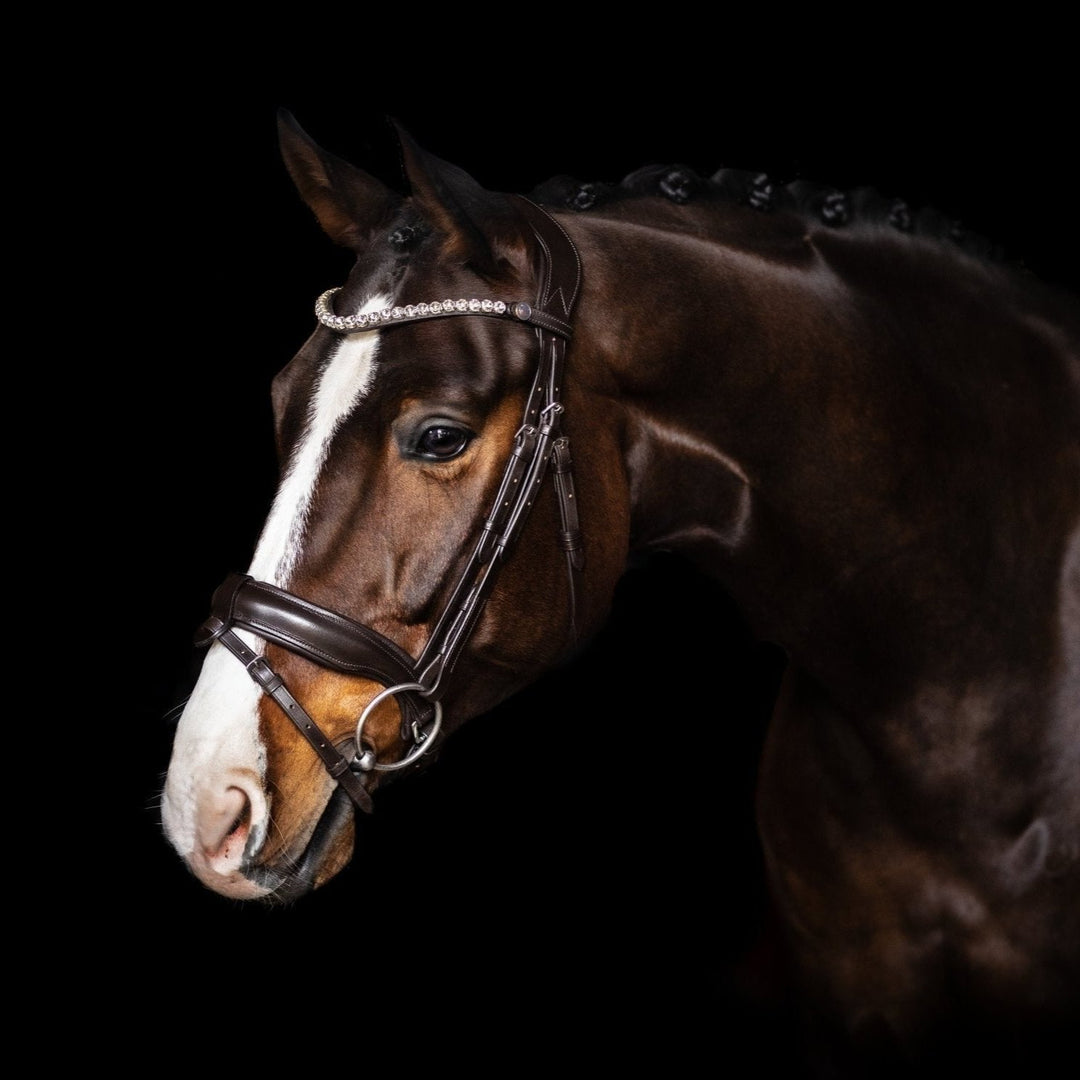 Trense CHARM, schwedisch - IQ Horse