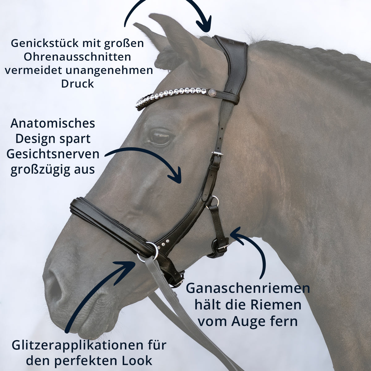 Trense Choice – Sidepull gebisslos