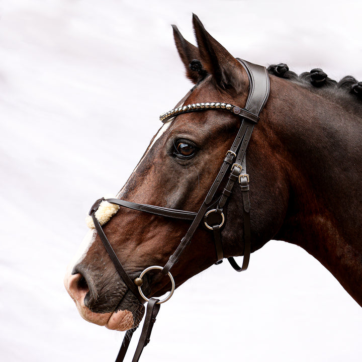 Trense Elite – mexikanisch