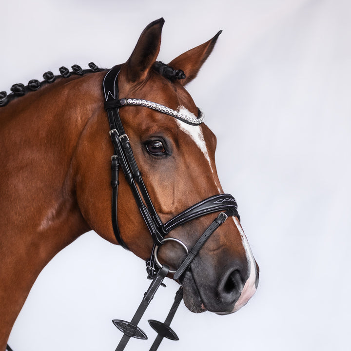 Bridlery anatomische Trense Focus, schwedisch - IQ Horse