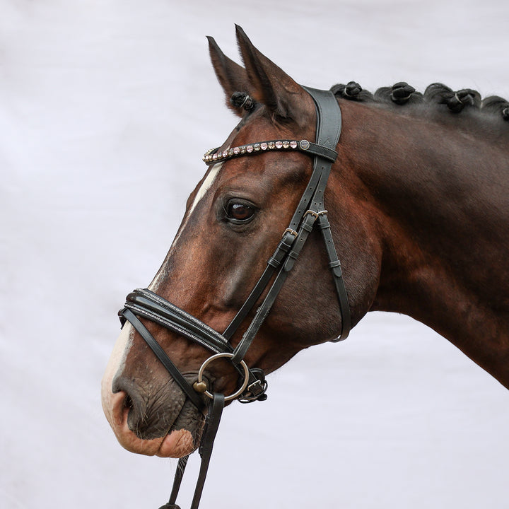 Englische Trense Galaxy – Glitzer-Lack